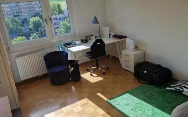 Appartement 1.5 pièces - image - 1