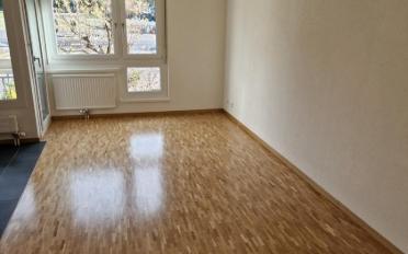 Appartement 1.5 pièces - image - 3