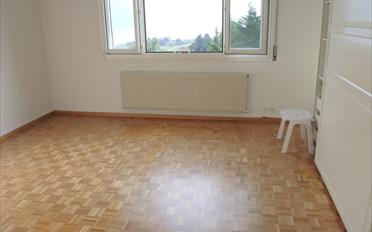 Villa 7.5 pièces - image - 4