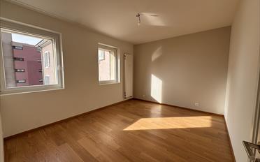 Wohnung 2.5 Zimmer - image - 6