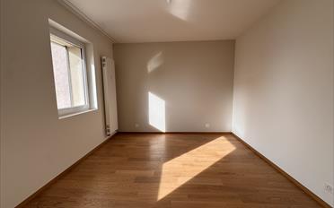 Wohnung 2.5 Zimmer - image - 7