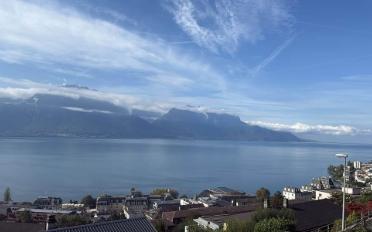 Apartment 3.5 rooms - image - 1