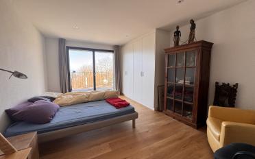 Villa 6.5 Zimmer - image - 11