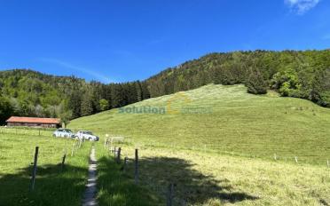 Chalet 15 rooms - image - 7