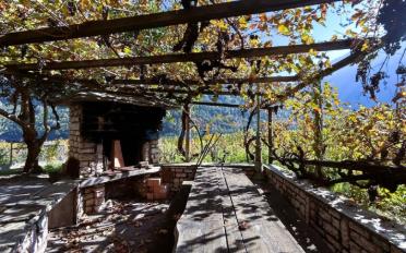 Villa 2.5 pièces - image - 6