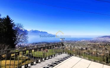 Single house 7 rooms - image - 1