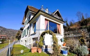 Single house 7 rooms - image - 3