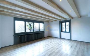 Duplex 5.5 pièces - image - 2