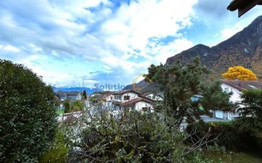 Reihenfamilienhaus 2.5 Zimmer - image - 4