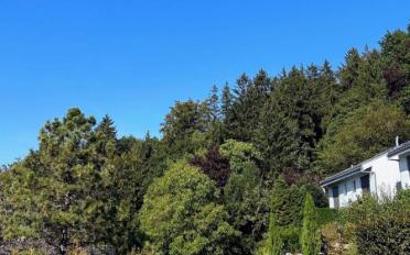 Maison contiguë 4.5 pièces - image - 13