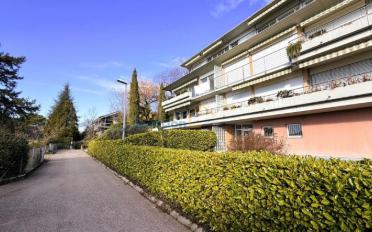 Wohnung 1.5 Zimmer - image - 1