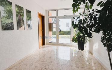 Wohnung 1.5 Zimmer - image - 10