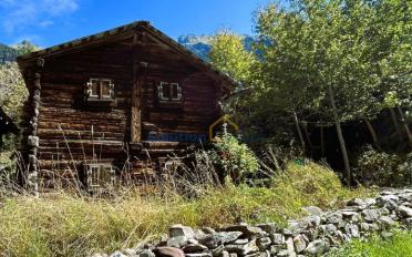 Chalet 2.5 Zimmer - image - 3