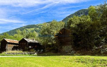 Chalet 2.5 Zimmer - image - 5