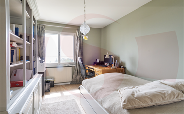 Single house 8 rooms - image - 12