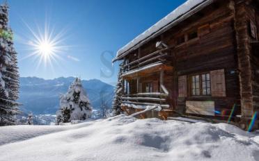 Chalet 6 pièces - image - 2