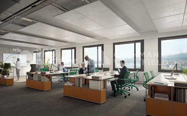 Büro - image - 8