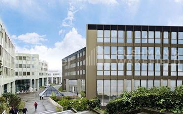 Office - image - 1