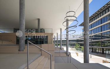 Office - image - 7