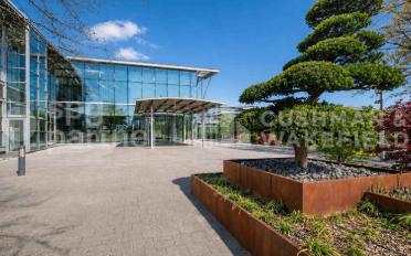 Office - image - 3