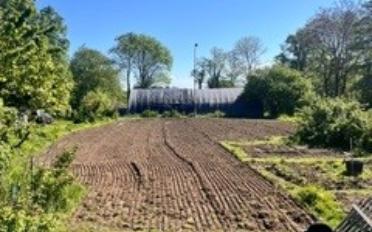 Schrebergarten - image - 1