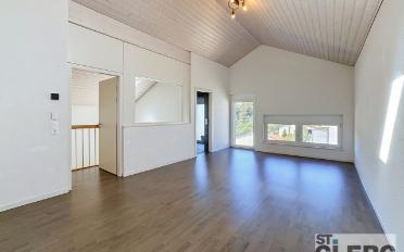 Doppeleinfamilienhaus 6.5 Zimmer - image - 2