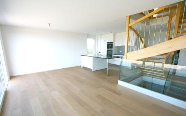 Doppeleinfamilienhaus 6.5 Zimmer - image - 6