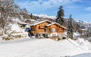Chalet 9.5 pièces - image - 1