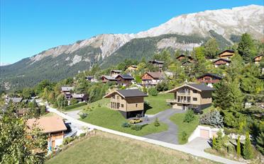 Chalet 6.5 Zimmer - image - 2