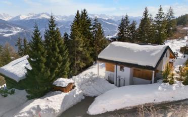 Chalet 4.5 Zimmer - image - 1