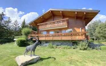 Chalet 15 pièces - image - 4