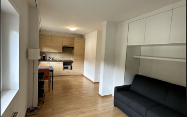 Appartement 1.5 pièces - image - 10