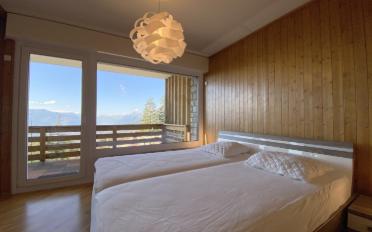 Roof flat 3.5 rooms - image - 7