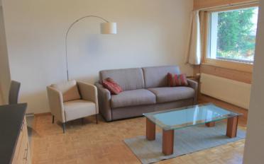 Appartement meublé 3.5 pièces - image - 6