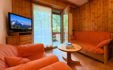 Appartement meublé 2.5 pièces - image - 2