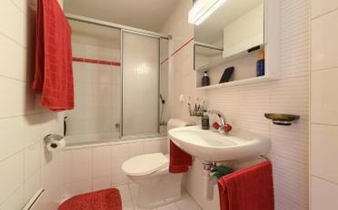 Appartement meublé 2.5 pièces - image - 8