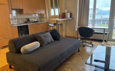 Möbl. Wohnobj. 1.5 Zimmer - image - 4