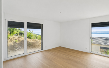 Einfamilienhaus 5.5 Zimmer - image - 3