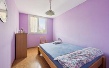 Doppeleinfamilienhaus 7 Zimmer - image - 9