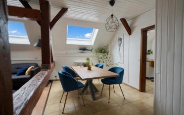 Immeuble mixte 9.5 pièces - image - 5