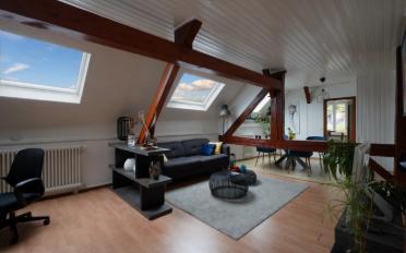 Immeuble mixte 9.5 pièces - image - 4