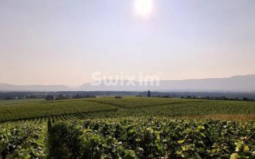 Einfamilienhaus 12 Zimmer - image - 1