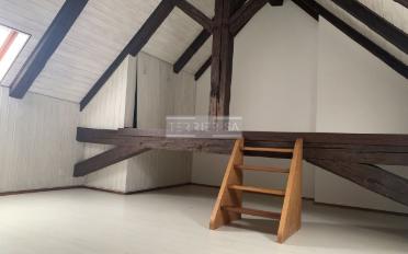 Duplex 5 Zimmer - image - 10