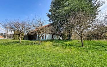 Farm house 1 room - image - 5