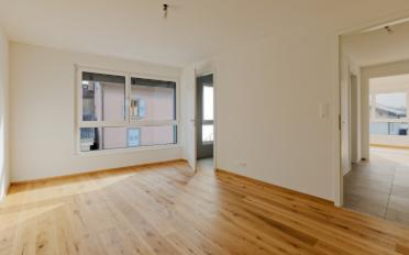 Apartment - image - 7