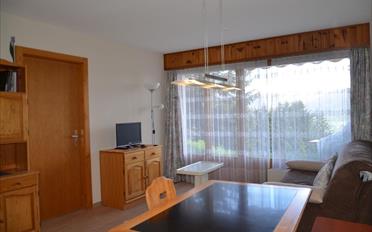 Terrassenwohnung 2 Zimmer - image - 3