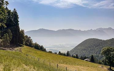 Doppeleinfamilienhaus - image - 1