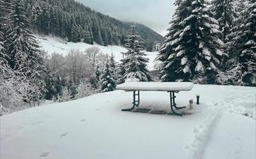 Chalet 6.5 pièces - image - 2