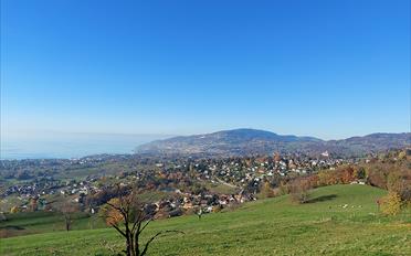 Villa 7 Zimmer - image - 3