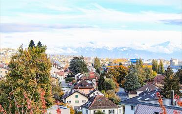 Single house 6 rooms - image - 3